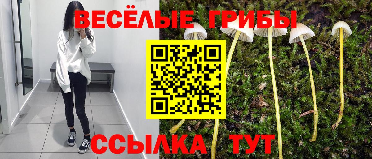 закладка  Галлюциногенные грибы мицелий  Вход с VPN  Чебаркуль 