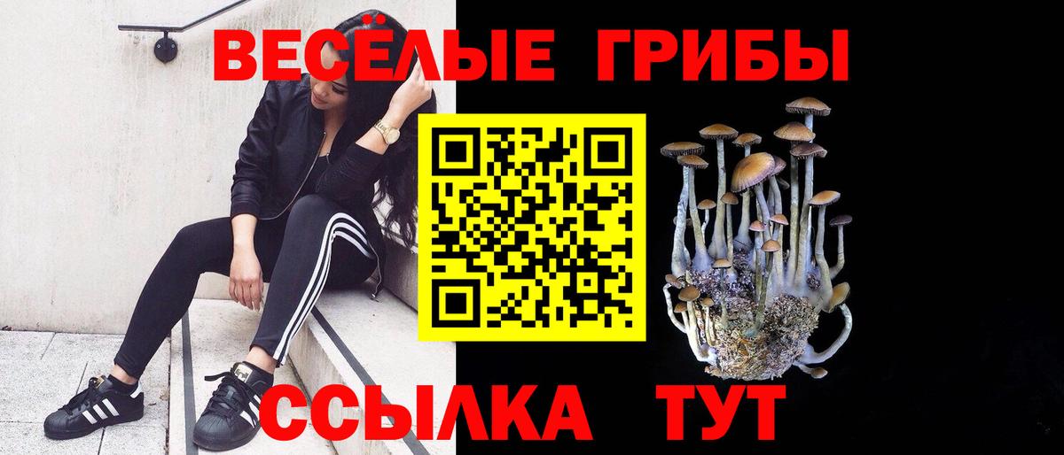 Псилоцибиновые грибы мухоморы Чебаркуль